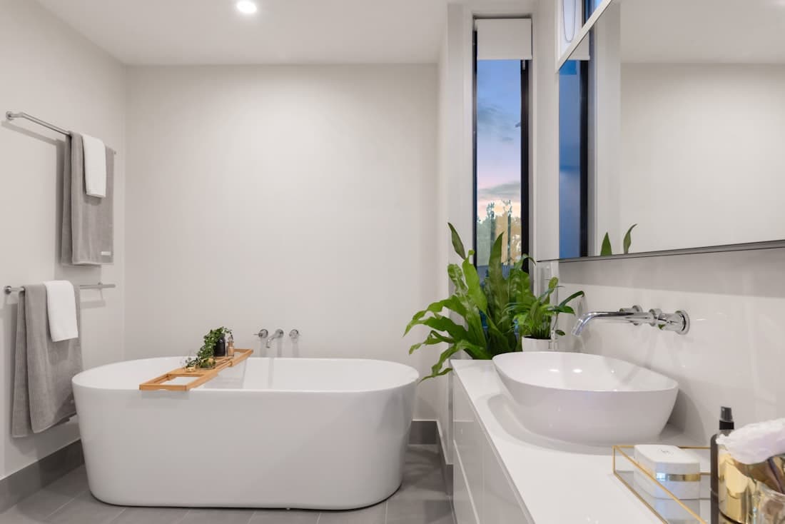 Bathroom with a freestanding tub, a plant and natural light
